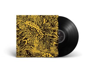 Amanda Whiting Little Sunflower Amanda Whiting Little Sunflower